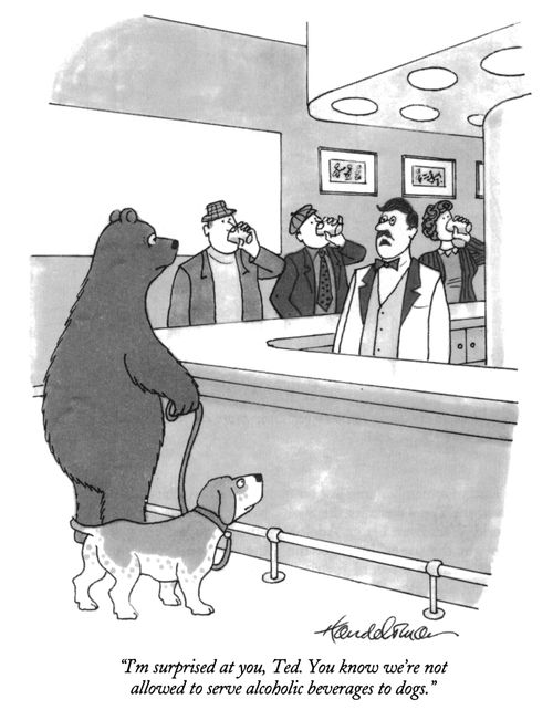 "I'm surprised at you, Ted. You know we're not allowed to serve alcoholic beverages to dogs."