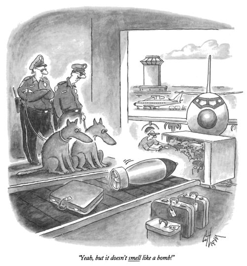 "Yeah, but it doesn't smell like a bomb!"
