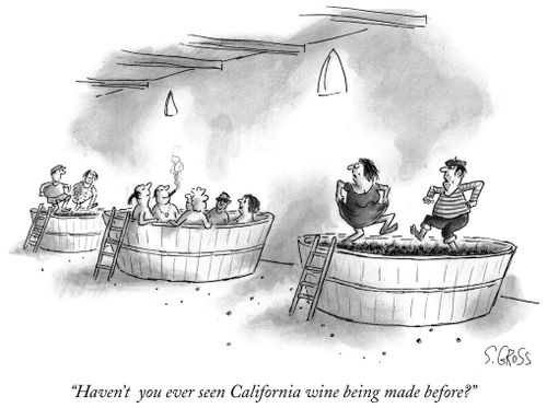 "Haven't you ever seen California wine being made before?"