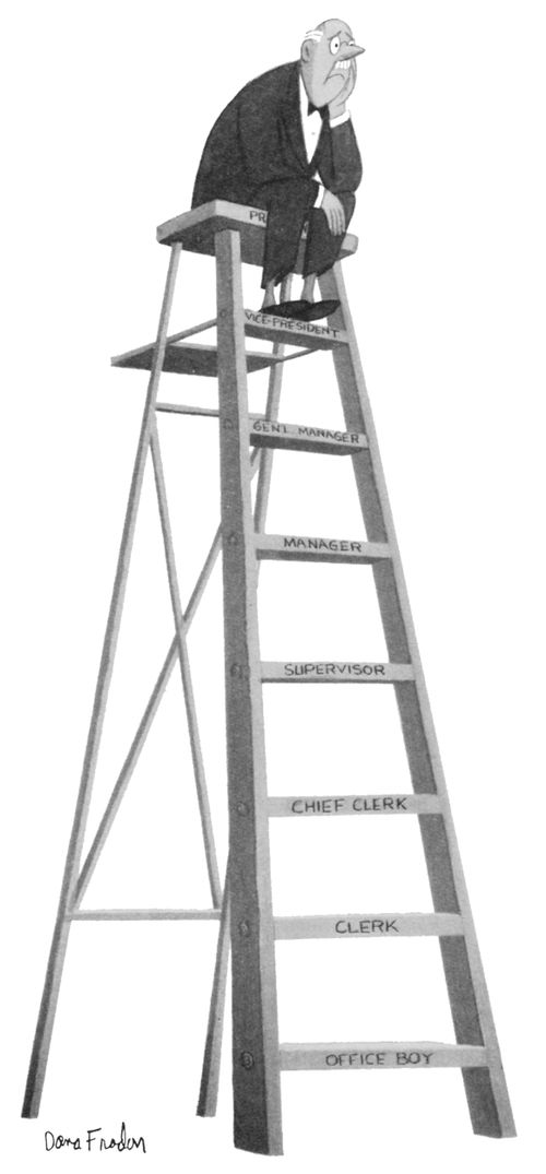 Career Progression Ladder