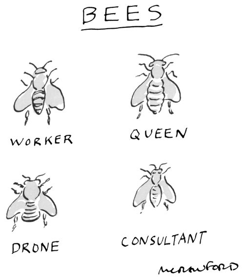 Bees