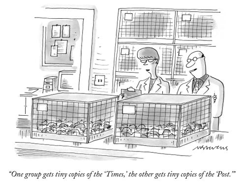 "One group gets tiny copies of the 'Times,' the other gets tiny copies of the 'Post.'"