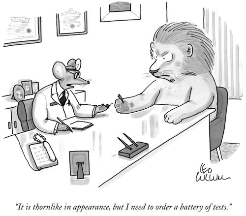 "It is thornlike in appearance, but I need to order a battery of tests."