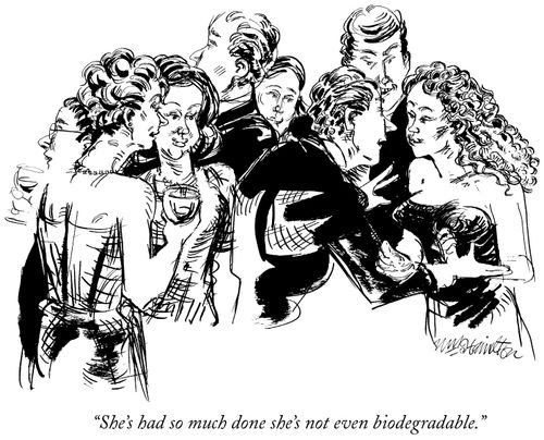 "She's had so much done she's not even biodegradable."