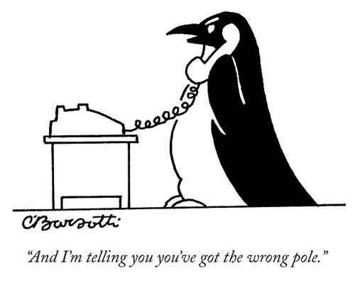 "And I'm telling you you've got the wrong pole."