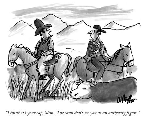 "I think it's your cap, Slim. The cows don't see you as an authority figure."