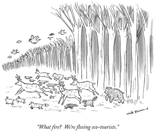 "What fire? We're fleeing eco-tourists."