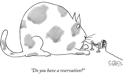 "Do you have a reservation?"