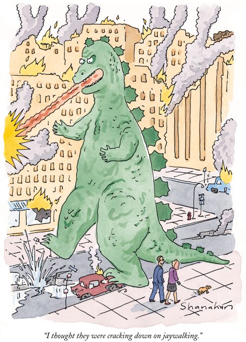 "I thought they were cracking down on jaywalking."