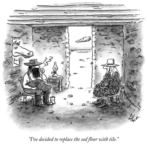 "I've decided to replace the sod floor with tile."