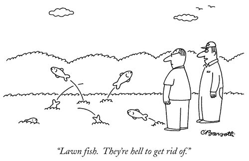 "Lawn fish. They're hell to get rid of."