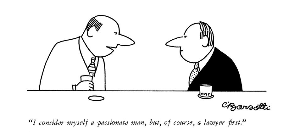 "I consider myself a passionate man, but, of course, a lawyer first."