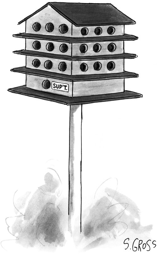 A large bird house with many compartments; one is labeled "Sup't.".