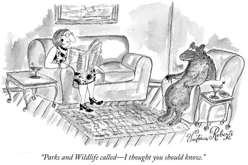 "Parks and Wildlife called - I thought you should know."