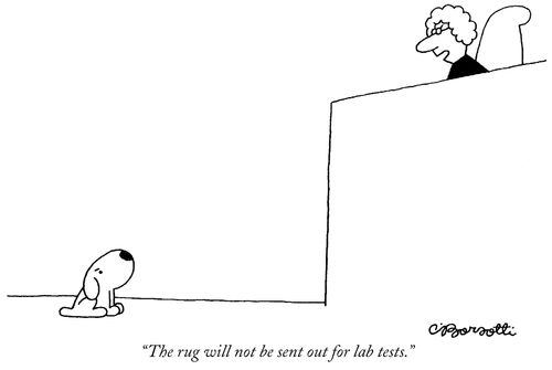 "The rug will not be sent out for lab tests."
