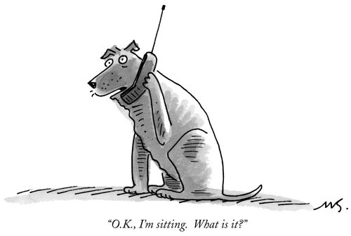 "O.K., I'm sitting. What is it?"