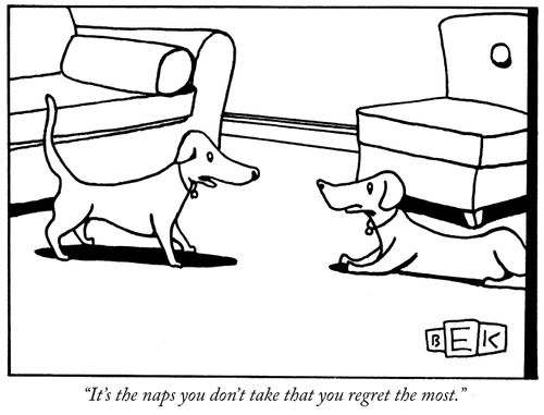 "It's the naps you don't take that you regret the most."