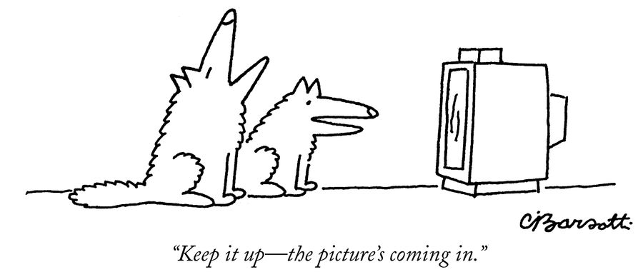 "Keep it up—the picture's coming in."