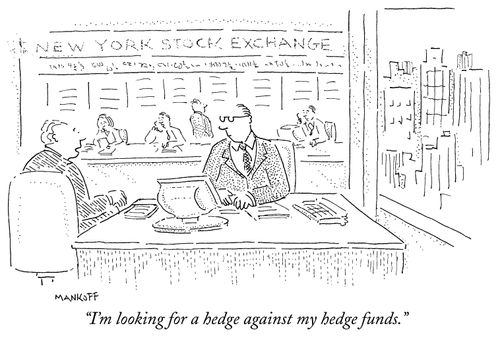 "I'm looking for a hedge against my hedge funds."