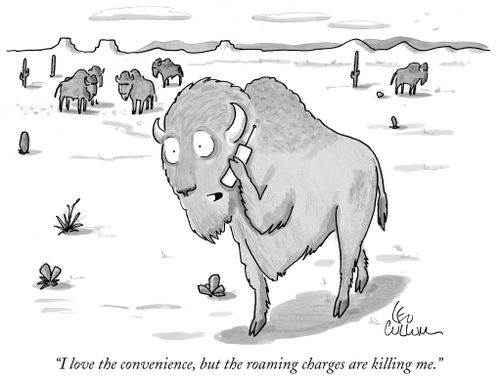 "I love the convenience, but the roaming charges are killing me."