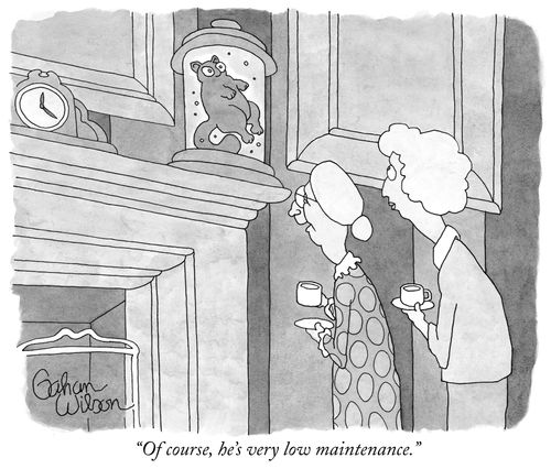 "Of course, he's very low maintenance."