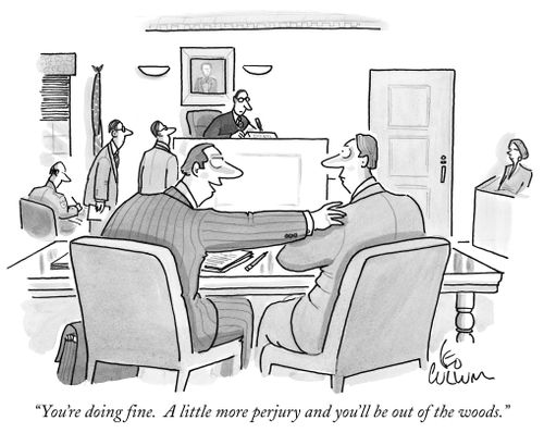 "You're doing fine. A little more perjury and you'll be out of the woods."
