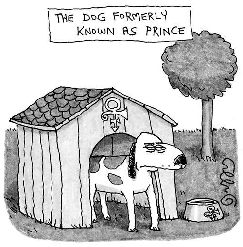 Dog Formerly Known as Prince