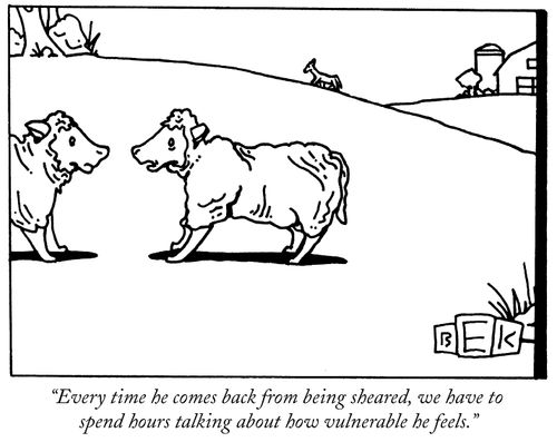 "Every time he comes back from being sheared, we have to spend hours talking about how vulnerable he feels."