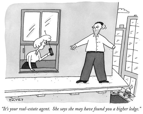 "It's your real-estate agent. She says she may have found you a higher ledge."