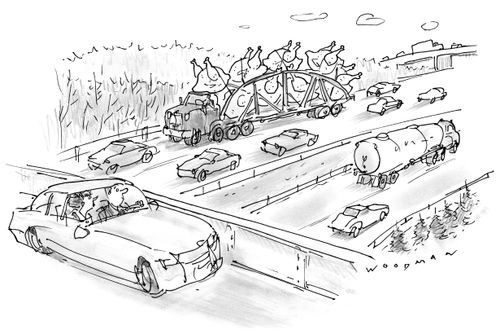 Highway Chickens
