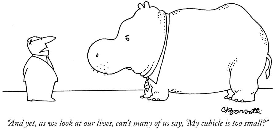 "And yet, as we look at our lives, can't many of us say, 'My cubicle is too small?"