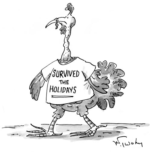Survived the Holidays