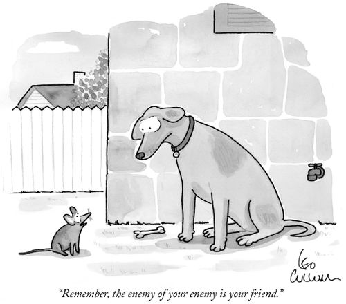 "Remember, the enemy of your enemy is your friend."