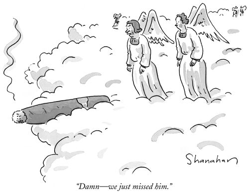 "Damn—we just missed him."