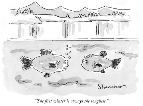 "The first winter is always the toughest."