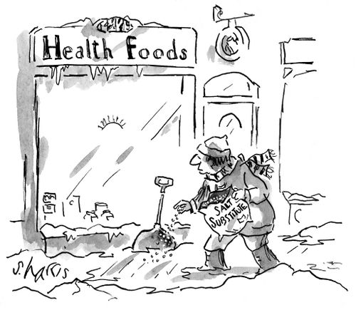 A health food store uses a salt substitute to salt the sidewalk.