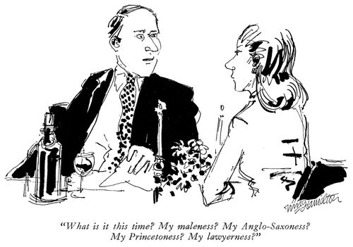 "What is it this time? My maleness? My Anglo-Saxoness? My Pincetoness? My lawyerness?"