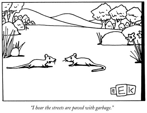 "I hear the streets are paved with garbage."