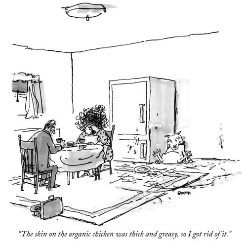 "The skin on the organic chicken was thick and greasy, so I got rid of it."