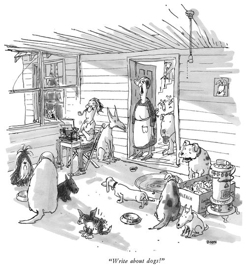 "Write about dogs."