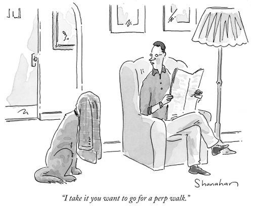 "I take it you want to go for a perp walk."