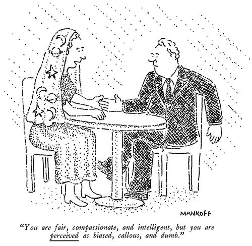 "You are fair, compassionate, and intelligent, but you are perceived as biased, callous, and dumb."