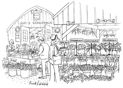 Annuals, Perennials, Centennials, Millennials