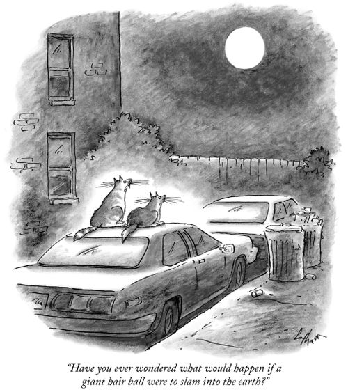 "Have you ever wondered what would happen if a giant hair ball were to slam into the earth?"