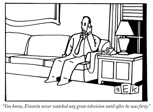 "You know, Einstein never watched any great television until after he was forty."