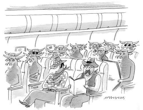 Cowboys and cattle traveling on an airplane.