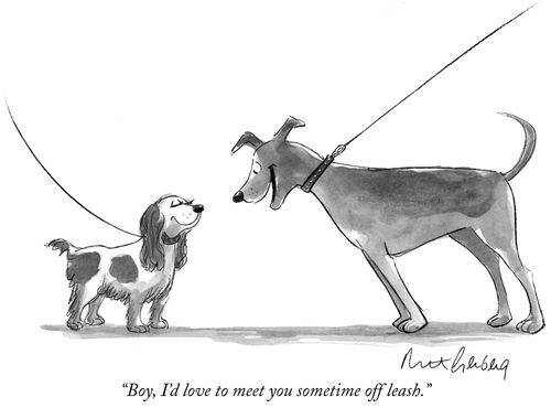 "Boy, I'd love to meet you sometime off leash."