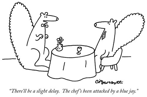 "There'll be a slight delay. The chef's been attacked by a blue jay."