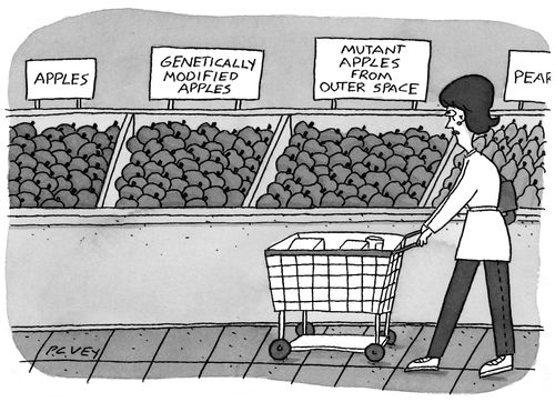Woman looking at apples in a grocery store with labels that say "Apples", "Genetically modified apples" and "Mutant apples from outer space".