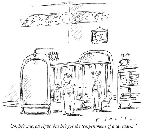 "Oh, he's cute, all right, but he's got the temperament of a car alarm."